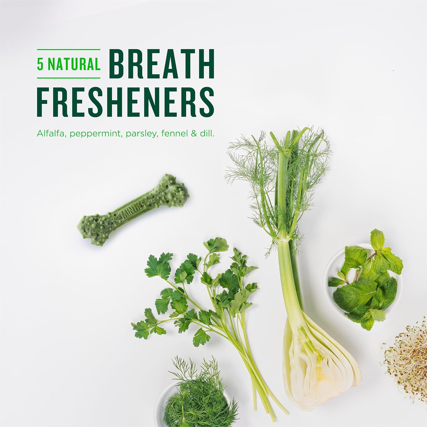 Dental Chews for Small Dogs (40 Count) - Vet-Recommended Mint-Flavored Treats for Dogs Weighing 5-24 lbs, Promotes Dental Health by Reducing Plaque, Tartar, and Bad Breath