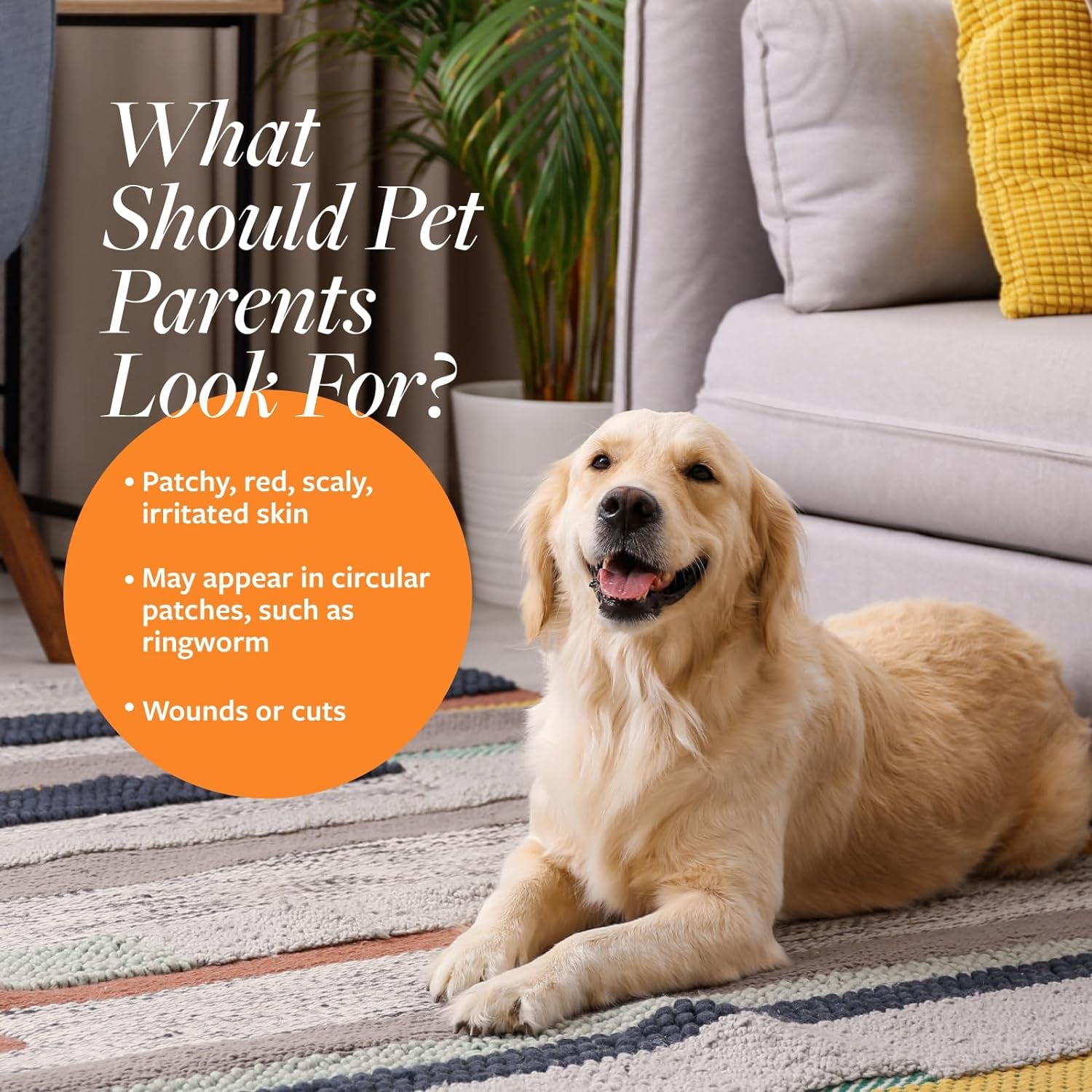 Clinical Care Antiseptic and Antifungal Medicated Shampoo for Dogs and Cats, 16 Fl Oz – Alleviates Scaly, Greasy, Red Skin – Paraben, Dye, and Soap-Free (1 Pack)